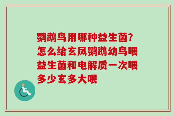 鹦鹉鸟用哪种益生菌？怎么给玄凤鹦鹉幼鸟喂益生菌和电解质一次喂多少玄多大喂