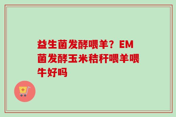 益生菌发酵喂羊?EM菌发酵玉米秸秆喂羊喂牛好吗 益生菌发酵喂羊?EM菌发酵玉米秸秆喂羊喂牛好吗