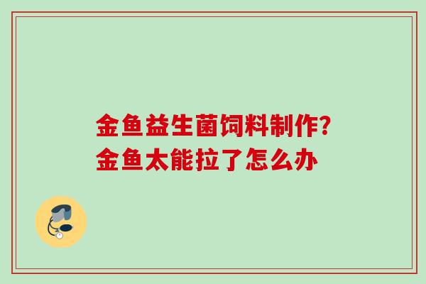 金鱼益生菌饲料制作？金鱼太能拉了怎么办