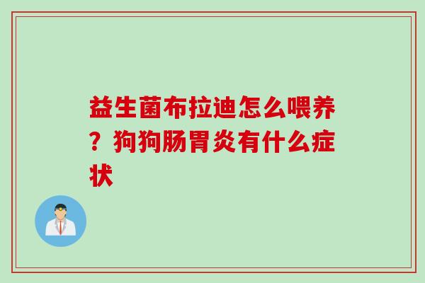 益生菌布拉迪怎么喂养？狗狗肠有什么症状