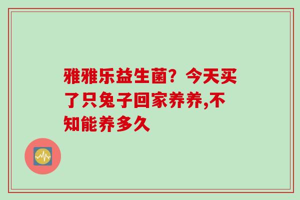 雅雅乐益生菌?今天买了只兔子回家养养,不知能养多久 雅雅乐益生菌?今天买了只兔子回家养养,不知能养多久