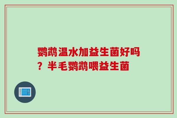 鹦鹉温水加益生菌好吗？半毛鹦鹉喂益生菌