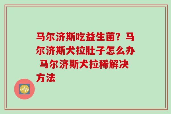 马尔济斯吃益生菌？马尔济斯犬拉肚子怎么办 马尔济斯犬拉稀解决方法