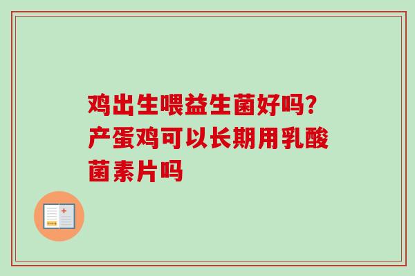 鸡出生喂益生菌好吗?产蛋鸡可以长期用乳酸菌素片吗 鸡出生喂益生菌好吗?产蛋鸡可以长期用乳酸菌素片吗