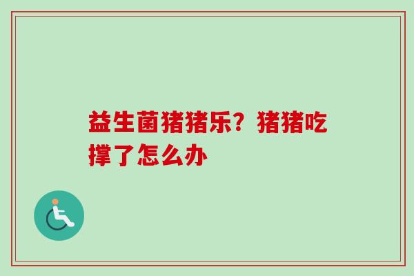 益生菌猪猪乐？猪猪吃撑了怎么办
