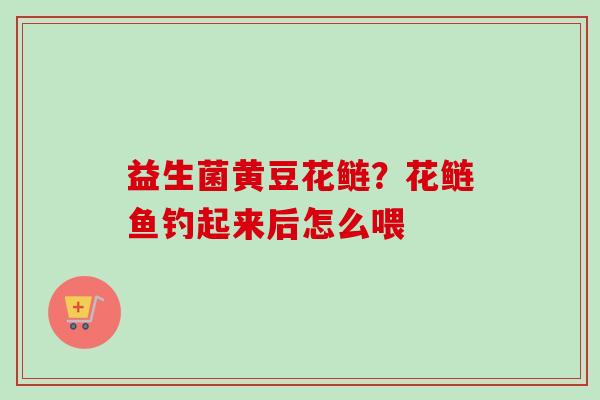 益生菌黄豆花鲢?花鲢鱼钓起来后怎么喂 益生菌黄豆花鲢?花鲢鱼钓起来后怎么喂