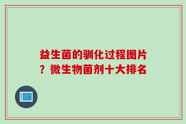 益生菌的驯化过程图片?微生物菌剂十大排名 益生菌的驯化过程图片?微生物菌剂十大排名