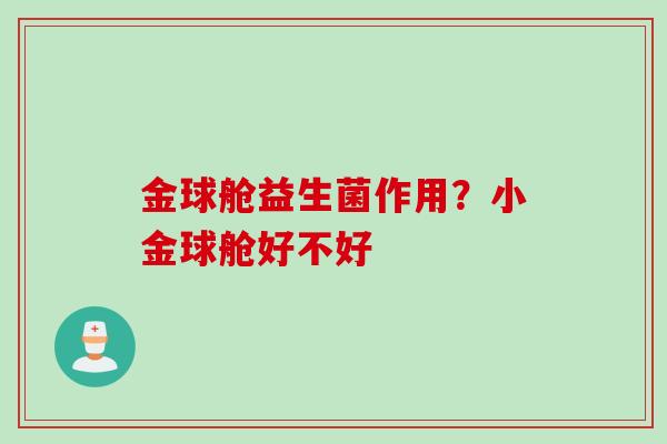 金球舱益生菌作用?小金球舱好不好 金球舱益生菌作用?小金球舱好不好