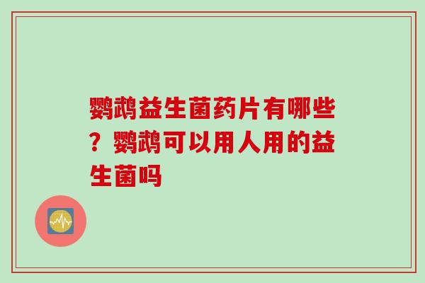 鹦鹉益生菌药片有哪些?鹦鹉可以用人用的益生菌吗 鹦鹉益生菌药片有哪些?鹦鹉可以用人用的益生菌吗
