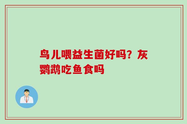 鸟儿喂益生菌好吗?灰鹦鹉吃鱼食吗 鸟儿喂益生菌好吗?灰鹦鹉吃鱼食吗