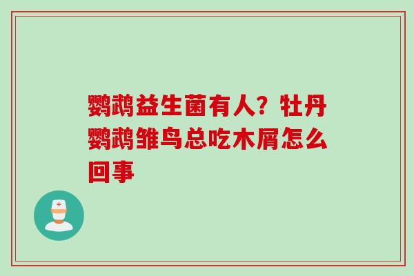 鹦鹉益生菌有人?牡丹鹦鹉雏鸟总吃木屑怎么回事 鹦鹉益生菌有人?牡丹鹦鹉雏鸟总吃木屑怎么回事