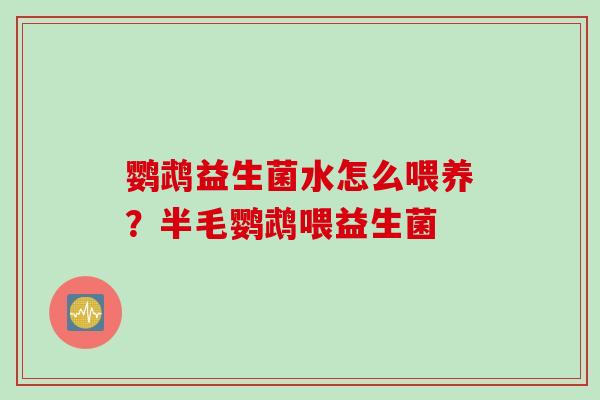 鹦鹉益生菌水怎么喂养?半毛鹦鹉喂益生菌 鹦鹉益生菌水怎么喂养?半毛鹦鹉喂益生菌