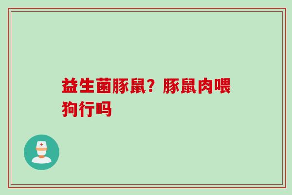 益生菌豚鼠？豚鼠肉喂狗行吗