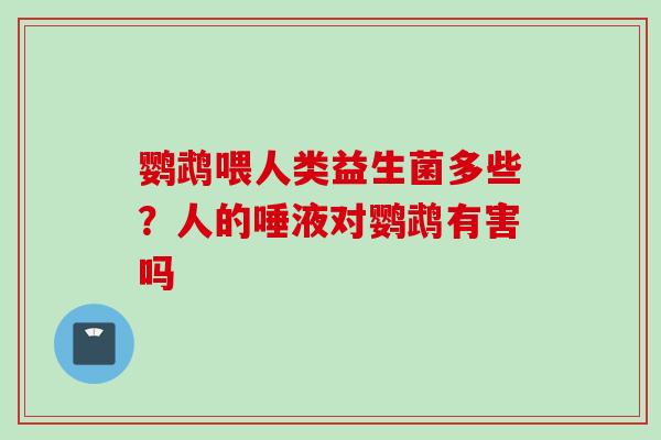 鹦鹉喂人类益生菌多些？人的唾液对鹦鹉有害吗