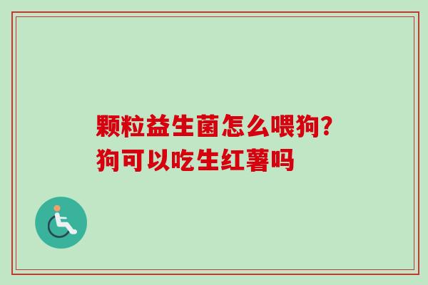 颗粒益生菌怎么喂狗?狗可以吃生红薯吗 颗粒益生菌怎么喂狗?狗可以吃生红薯吗