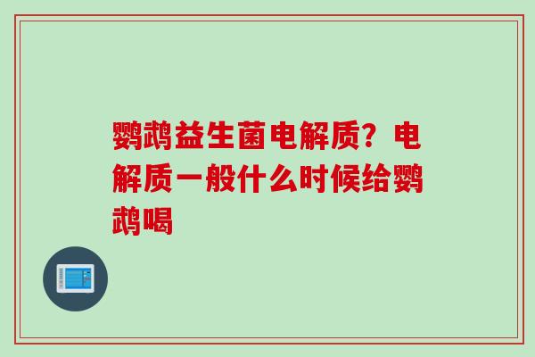 鹦鹉益生菌电解质?电解质一般什么时候给鹦鹉喝 鹦鹉益生菌电解质?电解质一般什么时候给鹦鹉喝