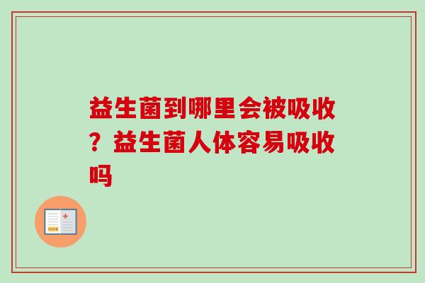 益生菌到哪里会被吸收?益生菌人体容易吸收吗 益生菌到哪里会被吸收?益生菌人体容易吸收吗