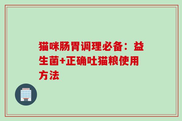 猫咪肠胃调理必备:益生菌+正确吐猫粮使用方法 猫咪肠胃调理必备:益生菌+正确吐猫粮使用方法