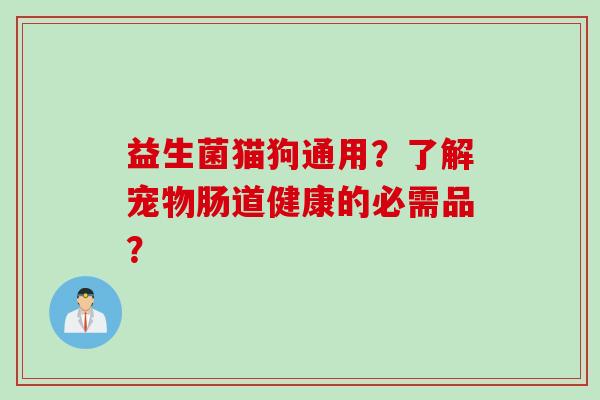 益生菌猫狗通用？了解宠物肠道健康的必需品？