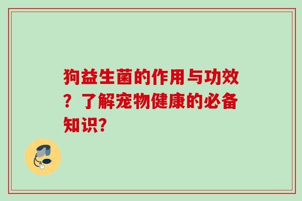 狗益生菌的作用与功效？了解宠物健康的必备知识？