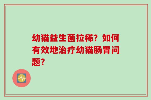 幼猫益生菌拉稀？如何有效地幼猫肠胃问题？