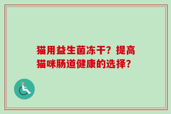 猫用益生菌冻干?提高猫咪肠道健康的选择? 猫用益生菌冻干?提高猫咪肠道健康的选择?