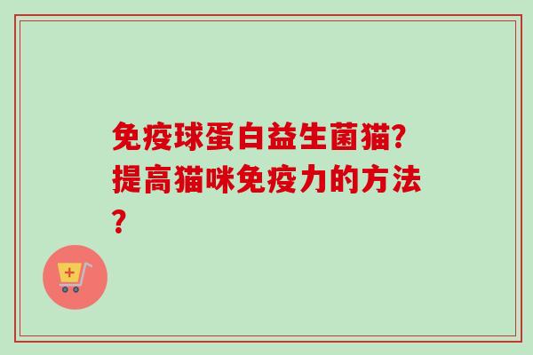 球蛋白益生菌猫？提高猫咪力的方法？