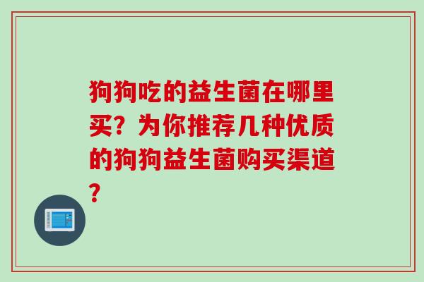 狗狗吃的益生菌在哪里买？为你推荐几种优质的狗狗益生菌购买渠道？