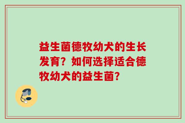 益生菌德牧幼犬的生长发育？如何选择适合德牧幼犬的益生菌？