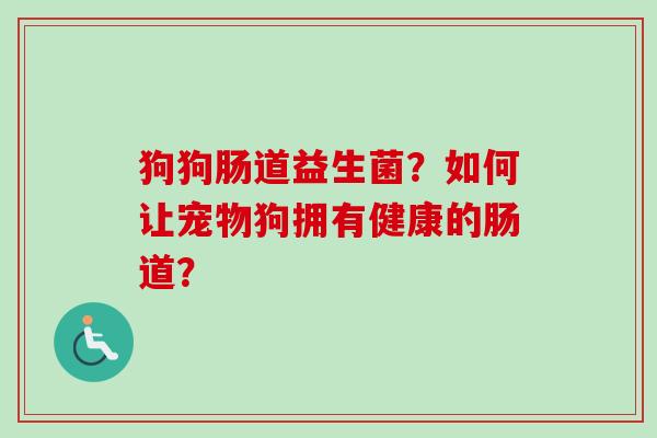 狗狗肠道益生菌?如何让宠物狗拥有健康的肠道? 狗狗肠道益生菌?如何让宠物狗拥有健康的肠道?