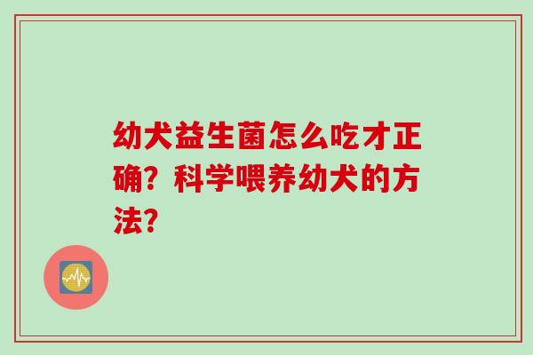 幼犬益生菌怎么吃才正确？科学喂养幼犬的方法？