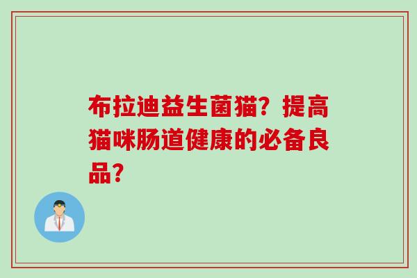 布拉迪益生菌猫？提高猫咪肠道健康的必备良品？