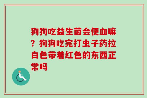 狗狗吃益生菌会便嘛?狗狗吃完打虫子药拉白色带着红色的东西正常吗 狗狗吃益生菌会便嘛?狗狗吃完打虫子药拉白色带着红色的东西正常吗