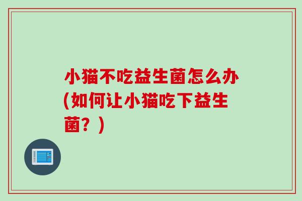 小猫不吃益生菌怎么办(如何让小猫吃下益生菌?) 小猫不吃益生菌怎么办(如何让小猫吃下益生菌?)