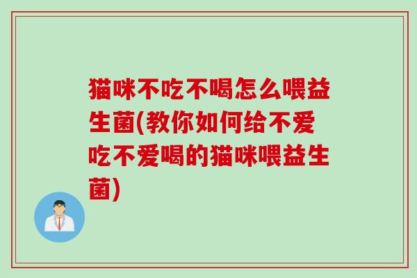 猫咪不吃不喝怎么喂益生菌(教你如何给不爱吃不爱喝的猫咪喂益生菌)