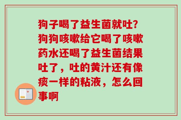 狗子喝了益生菌就吐?狗狗给它喝了药水还喝了益生菌结果吐了,吐的黄汁还有像痰一样的粘液,怎么回事啊 狗子喝了益生菌就吐?狗狗给它喝了药水还喝了益生菌结果吐了,吐的黄汁还有像痰一样的粘液,怎么回事啊