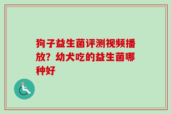 狗子益生菌评测视频播放?幼犬吃的益生菌哪种好 狗子益生菌评测视频播放?幼犬吃的益生菌哪种好