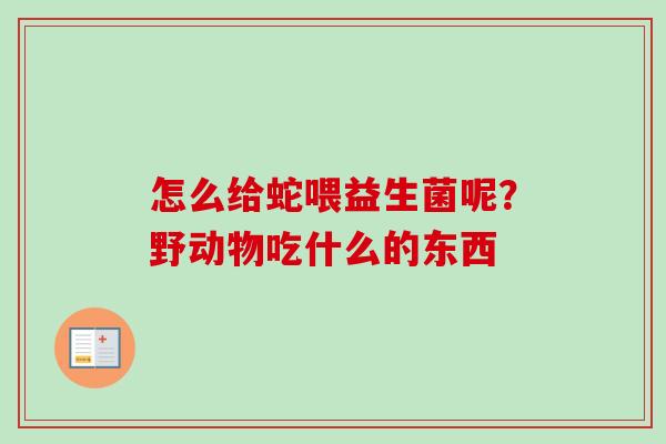 怎么给蛇喂益生菌呢?野动物吃什么的东西 怎么给蛇喂益生菌呢?野动物吃什么的东西