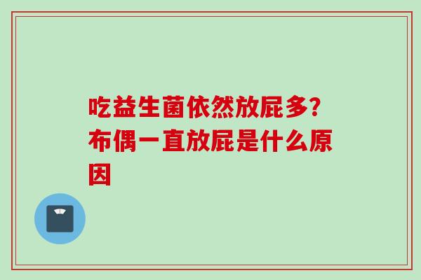 吃益生菌依然放屁多？布偶一直放屁是什么原因