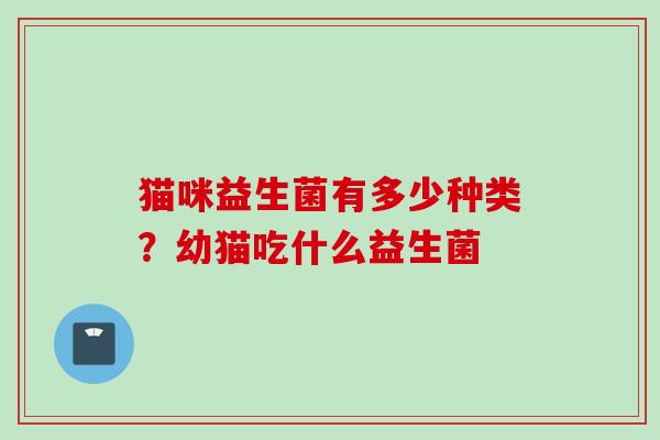 猫咪益生菌有多少种类？幼猫吃什么益生菌
