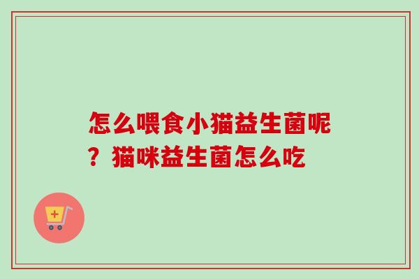 怎么喂食小猫益生菌呢？猫咪益生菌怎么吃