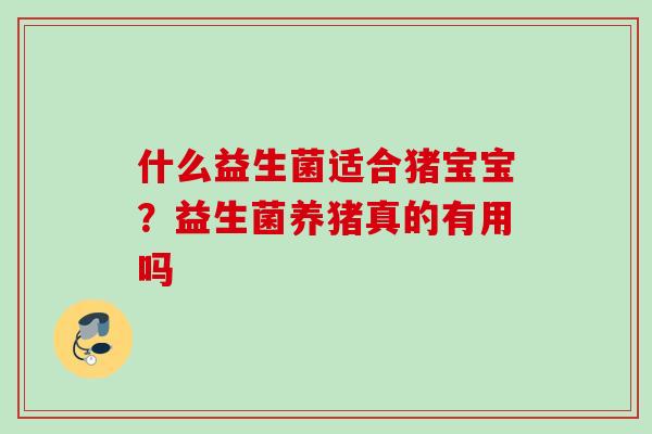 什么益生菌适合猪宝宝？益生菌养猪真的有用吗