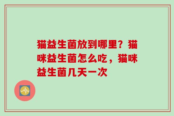 猫益生菌放到哪里？猫咪益生菌怎么吃，猫咪益生菌几天一次