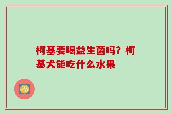 柯基要喝益生菌吗？柯基犬能吃什么水果