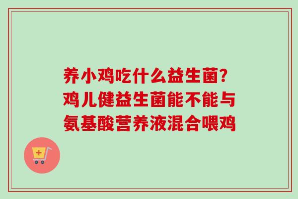 养小鸡吃什么益生菌？鸡儿健益生菌能不能与氨基酸营养液混合喂鸡