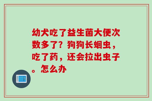 幼犬吃了益生菌大便次数多了?狗狗长蛔虫,吃了药,还会拉出虫子。怎么办 幼犬吃了益生菌大便次数多了?狗狗长蛔虫,吃了药,还会拉出虫子。怎么办