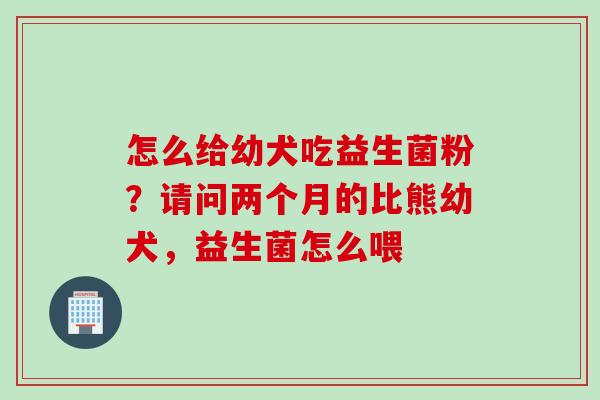 怎么给幼犬吃益生菌粉?请问两个月的比熊幼犬,益生菌怎么喂 怎么给幼犬吃益生菌粉?请问两个月的比熊幼犬,益生菌怎么喂