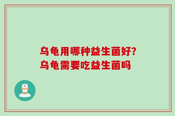 乌龟用哪种益生菌好？乌龟需要吃益生菌吗