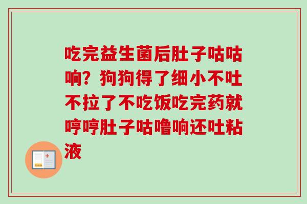 吃完益生菌后肚子咕咕响?狗狗得了细小不吐不拉了不吃饭吃完药就哼哼肚子咕噜响还吐粘液 吃完益生菌后肚子咕咕响?狗狗得了细小不吐不拉了不吃饭吃完药就哼哼肚子咕噜响还吐粘液