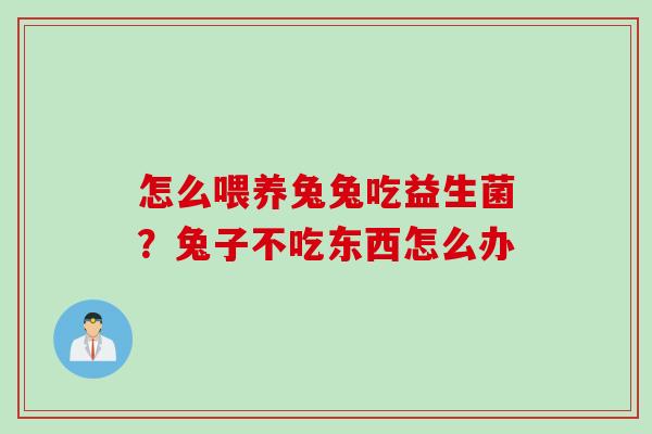 怎么喂养兔兔吃益生菌?兔子不吃东西怎么办 怎么喂养兔兔吃益生菌?兔子不吃东西怎么办